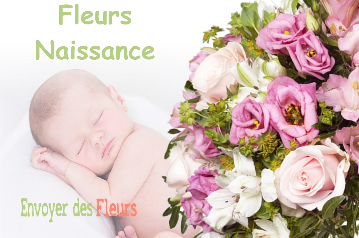 lIVRAISON FLEURS NAISSANCE à ROUEDE